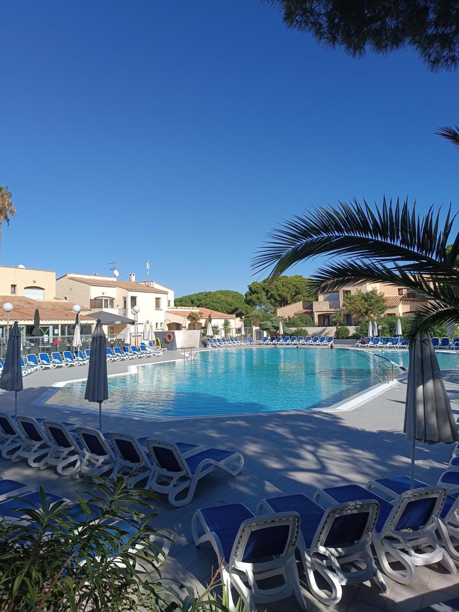 Studio Renove Dans Residence De Vacances Avec Grande Piscine Chauffee, Parking Et Terrasse Agde Eksteriør bilde
