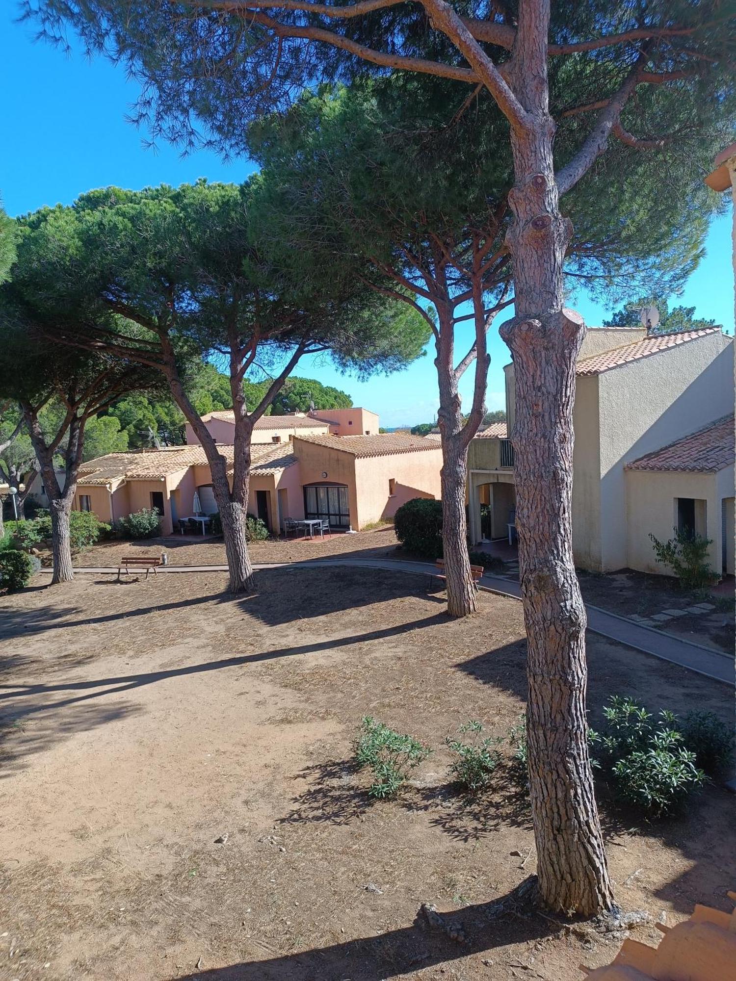Studio Renove Dans Residence De Vacances Avec Grande Piscine Chauffee, Parking Et Terrasse Agde Eksteriør bilde